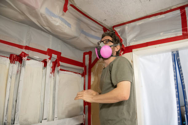 Best Black Mold Removal  in Alamo, TX