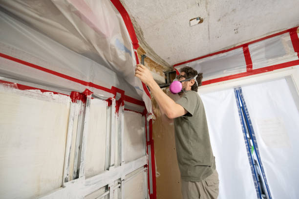 Best Airborne Mold Testing  in Alamo, TX