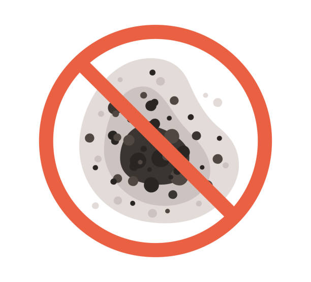 Best Commercial Mold Inspection  in Alamo, TX