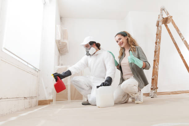 Best Dehumidification Services  in Alamo, TX