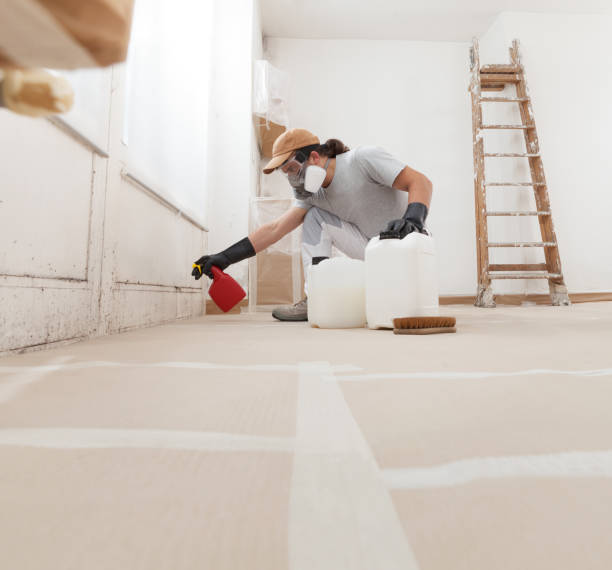 Best Mold Remediation for Healthcare Facilities  in Alamo, TX